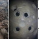 Imagen para el artículo titulado Resuelto el misterio de los agujeros hallados en un cráneo del s.XV